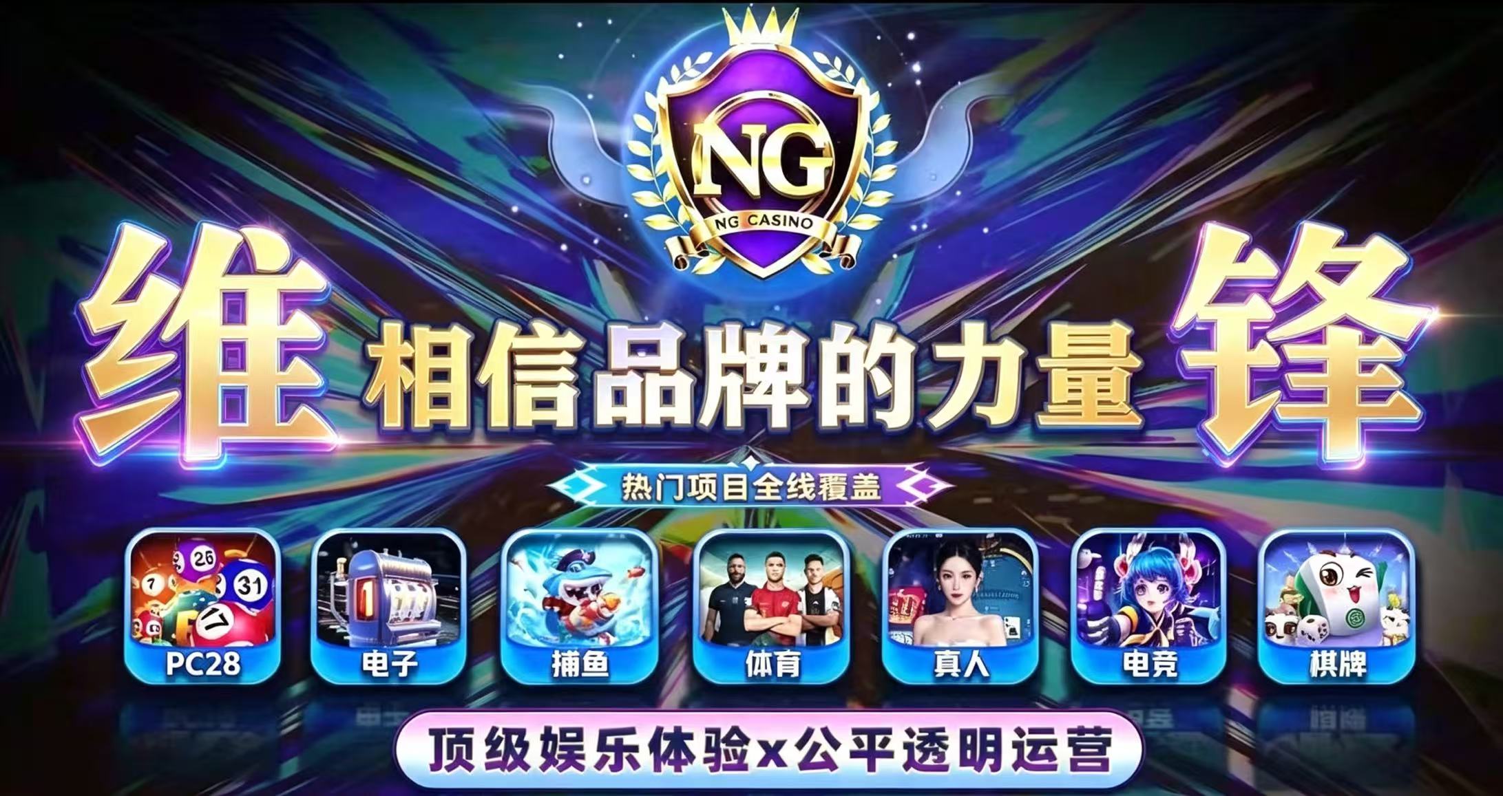 维锋集团导航网